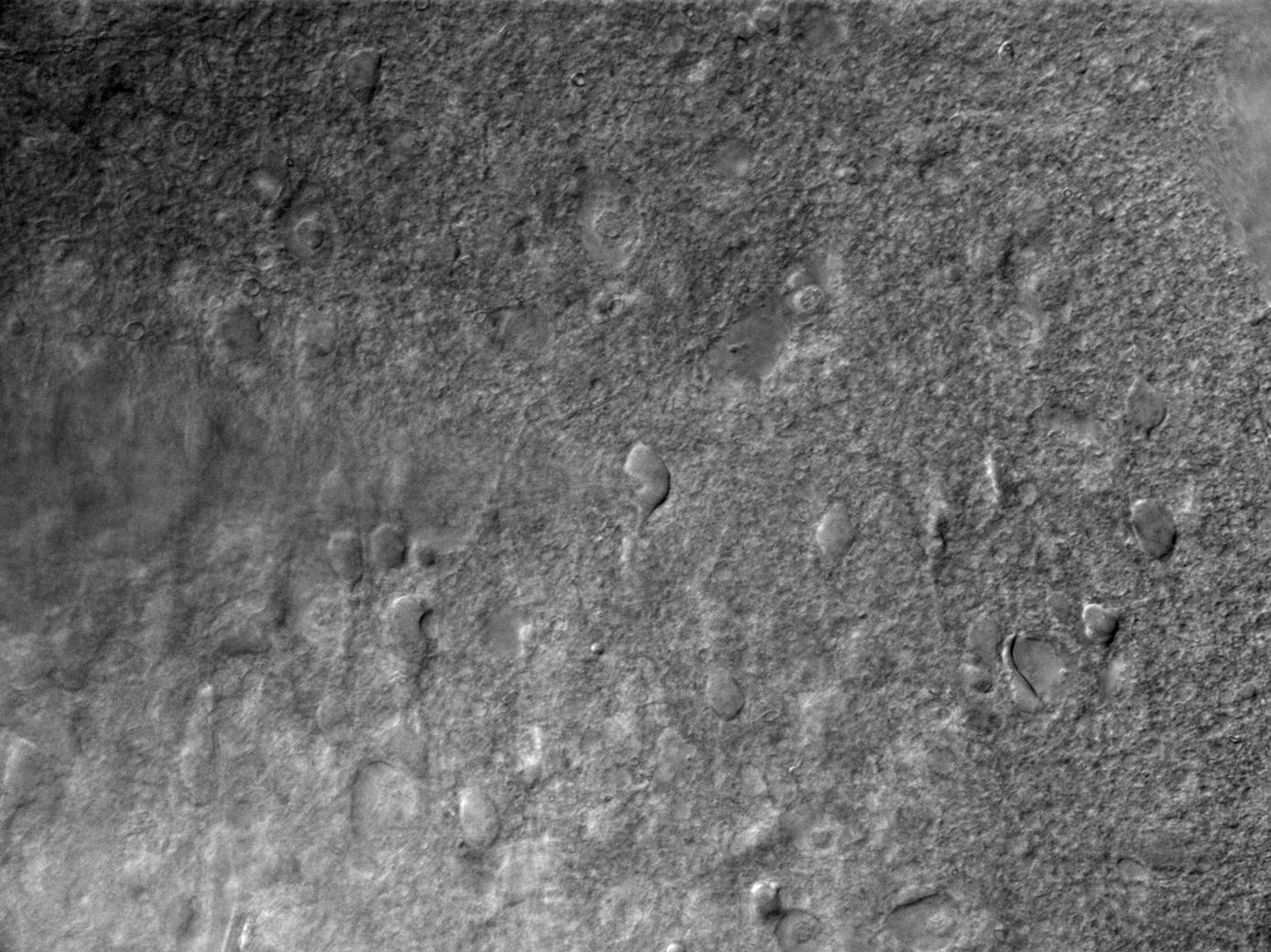 Unsplashed background img 3