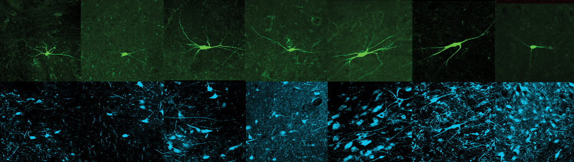 Unsplashed background img 2